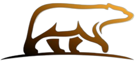 Ursus Shipping logo